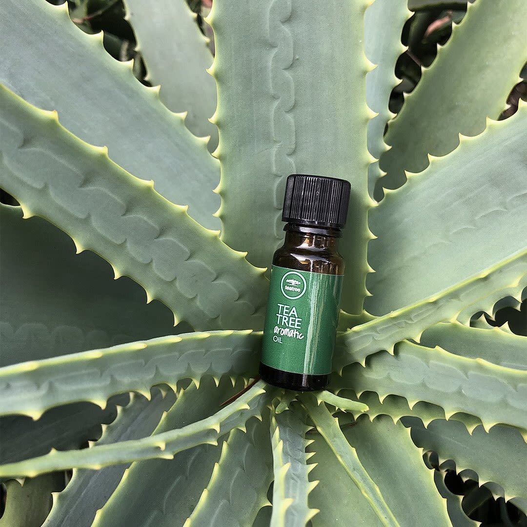 Tea Tree Aromatic Oil (10ml/0.33oz)