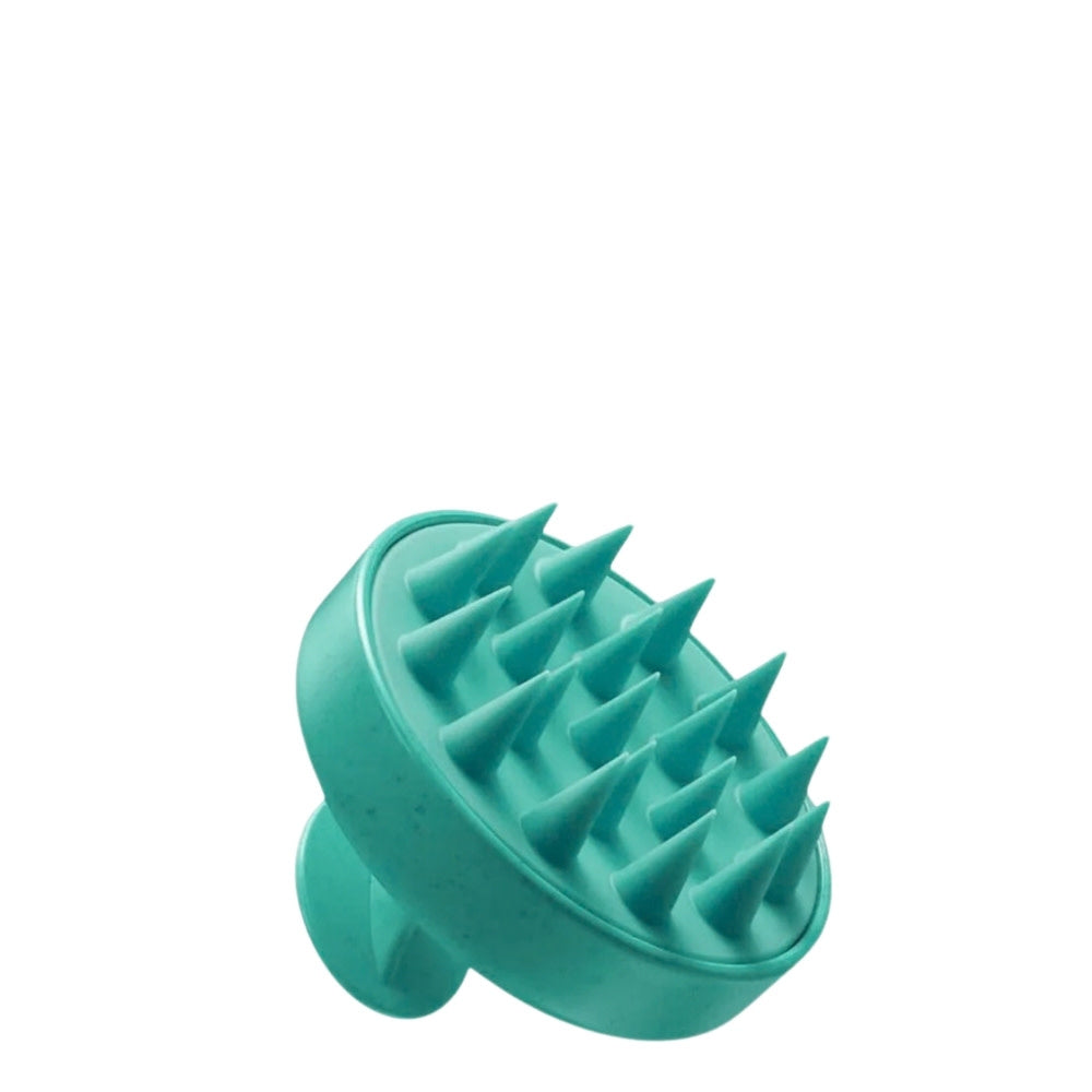 Brosse pour le cuir chevelu - Sarcelle