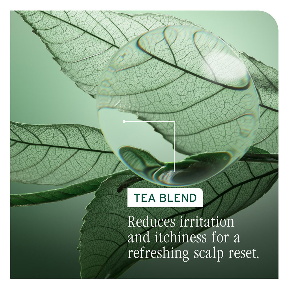 Sérum équilibrant le sébum "Scap Sync" (50ml/1.6oz)