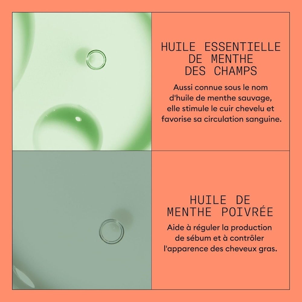 Revitalisant cheveux + cuir chevelu Système 4 - Pour cheveux colorés avec chute avancée