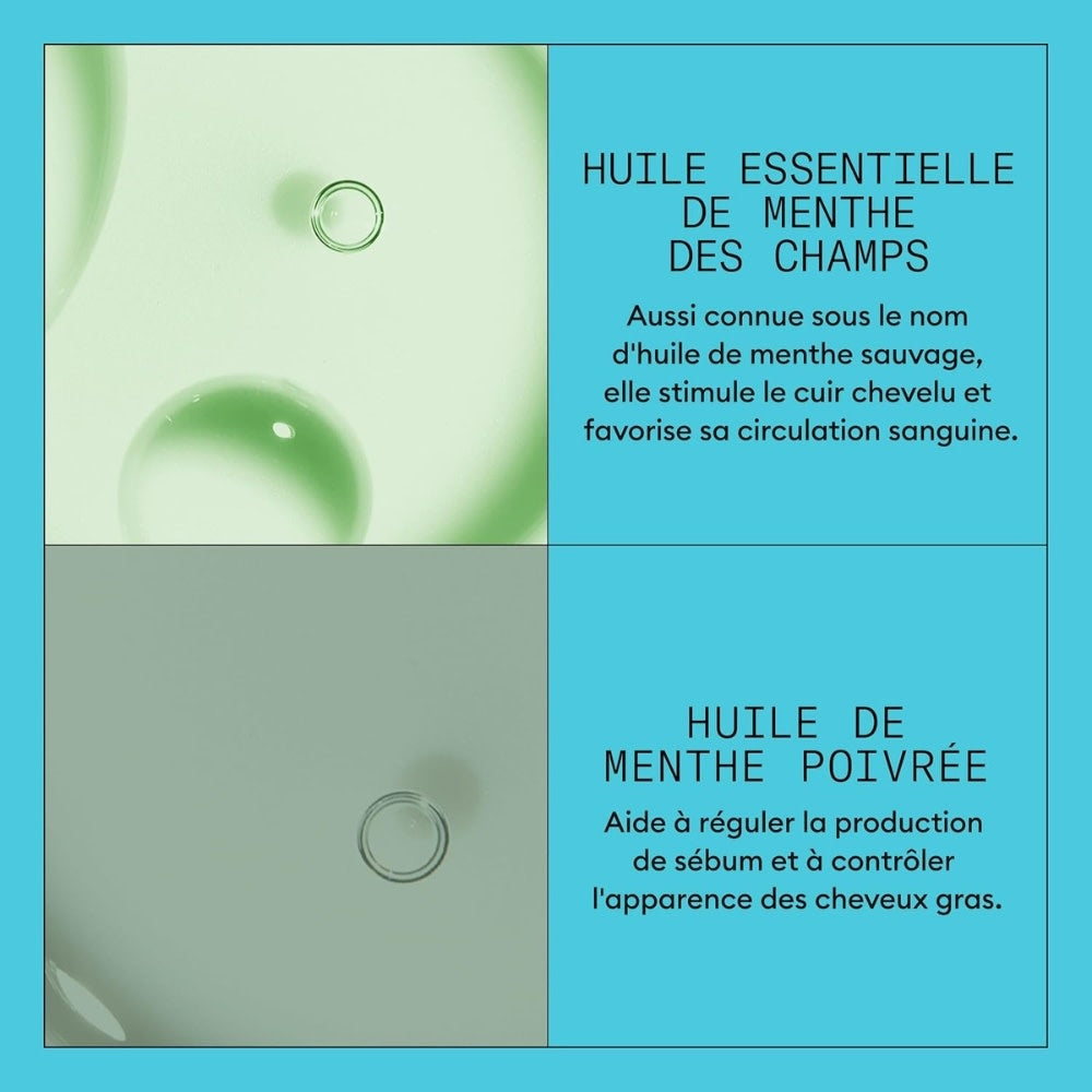 Revitalisant cheveux + cuir chevelu Système 3 - Pour cheveux colorés avec chute modérée