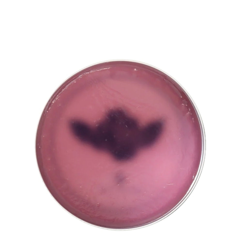 x TPG Design - Pommade parfum boisé oriental signé "Taguchi Satoru" (115g/4.0oz)