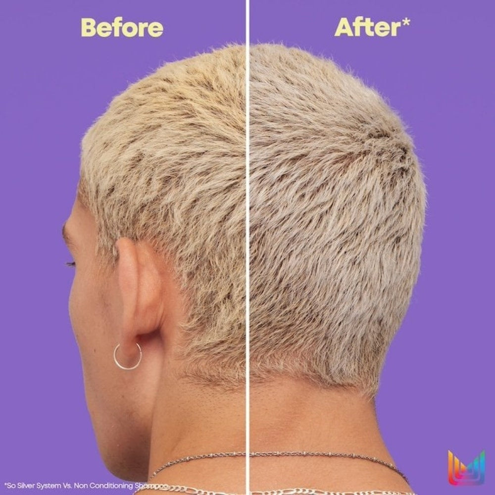 So Silver Purple Conditioner with Neutralizing Dyes