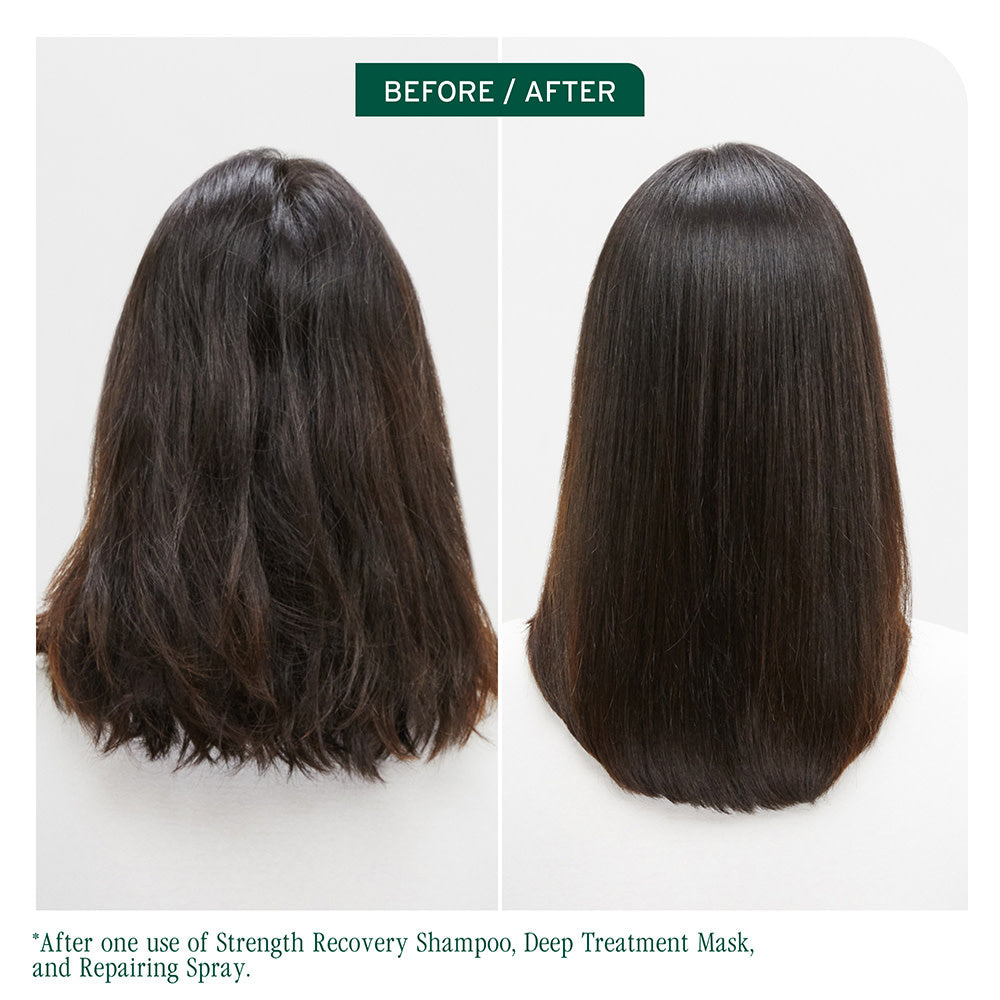 Strength Recovery Strengthening Concentrate Shampoo