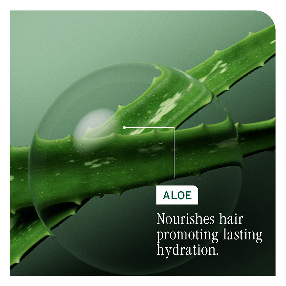 Shampoing concentré d'hydratation "Hydra Source"