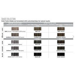 Camouflage des cheveux gris sur mesure "Color Camo" en 5 minutes (60ml/2.0oz) - Naturel moyen