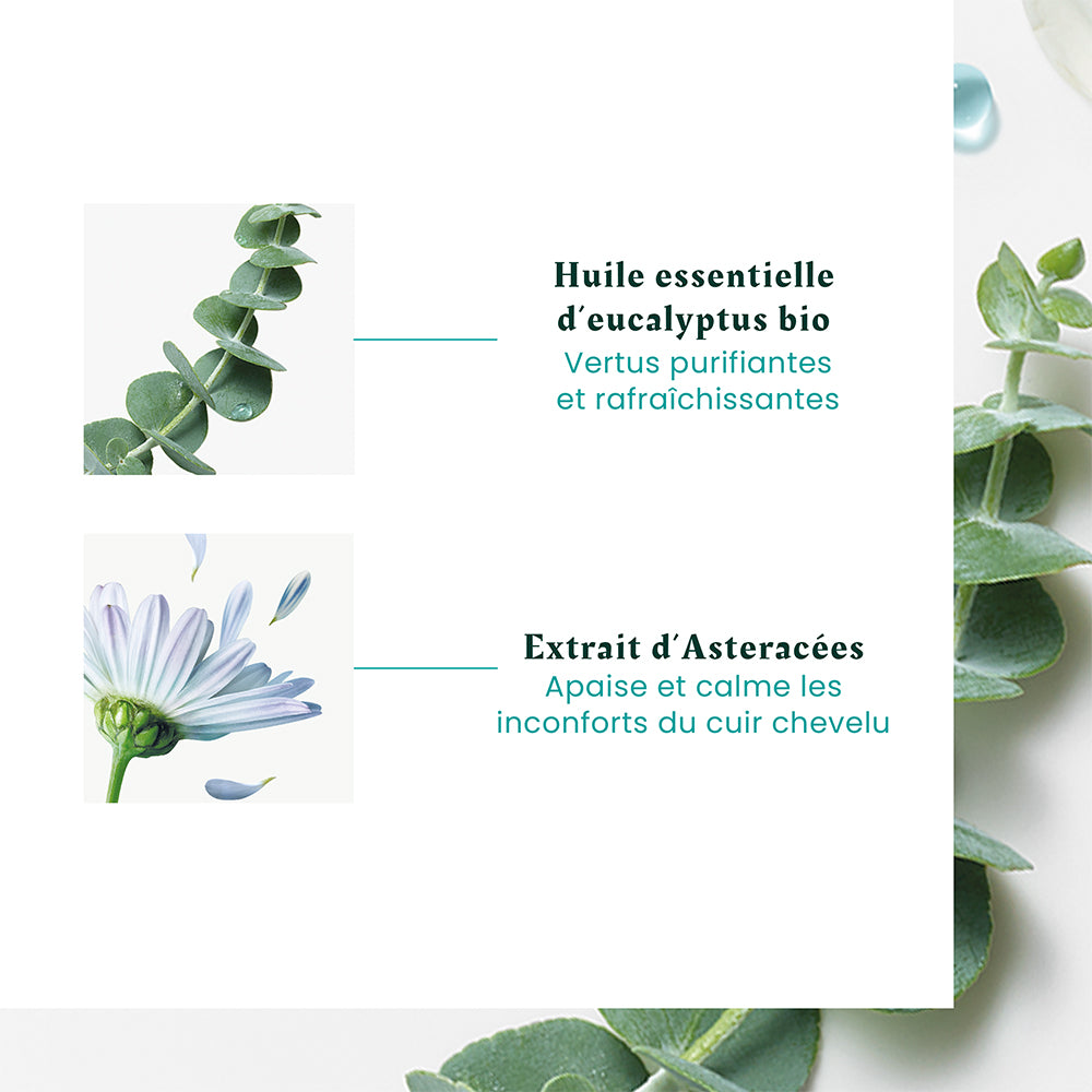 Concentré apaisant fraîcheur et pureté "Astera Head Spa" - Soin du cuir chevelu avant shampoing  (50ml/1.69oz)