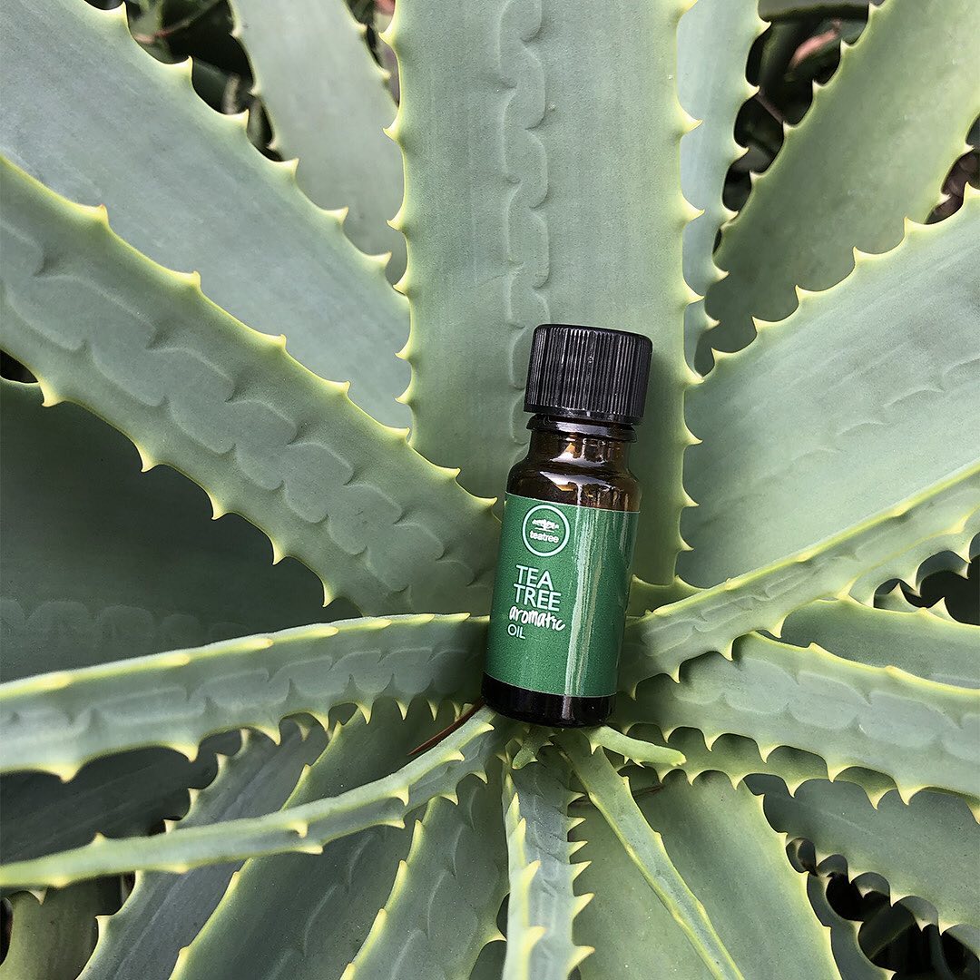 Tea Tree Aromatic Oil (10ml/0.33oz)