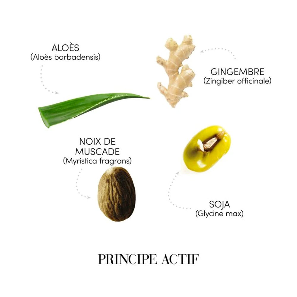 Requilibre sebum-balancing shampoo - For scalp with excess sebaceous secretion