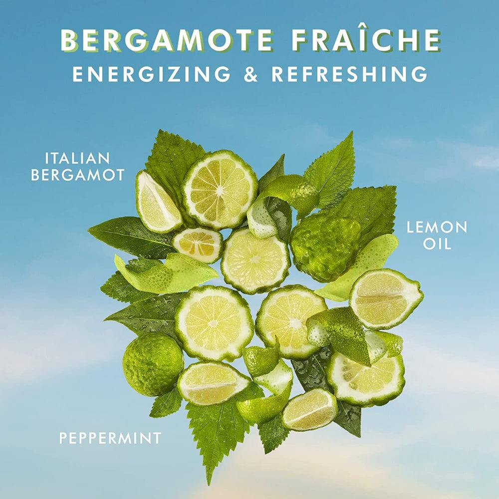 Bergamote Fraîche Hand Wash (360ml/12.2oz)