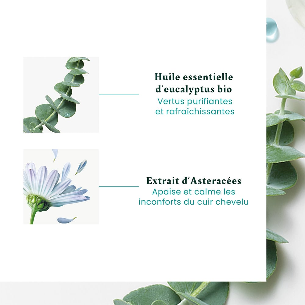 Concentré apaisant fraîcheur et pureté "Astera Head Spa" - Soin du cuir chevelu avant shampoing  (50ml/1.69oz)